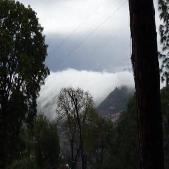 TG Stays Kasauli Pines Homestay, Kasauli 4